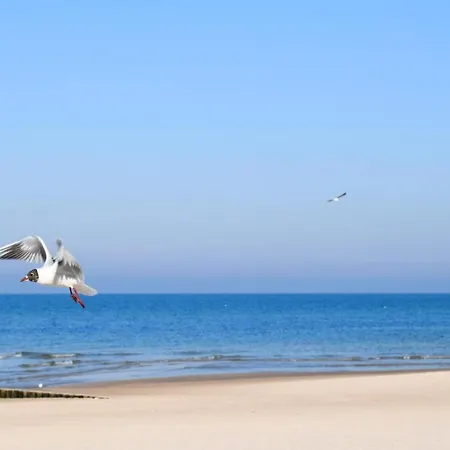 Amazing In With Sauna * Postomino