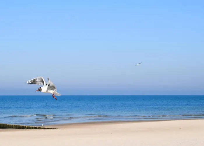 Amazing In With Sauna * Postomino